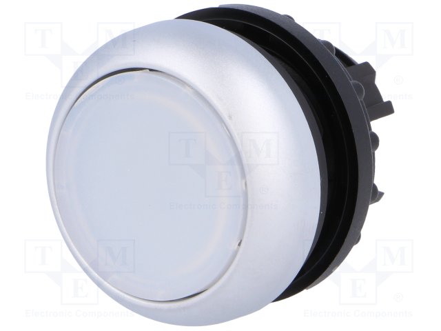 PlTi C BI/M22-DL-W