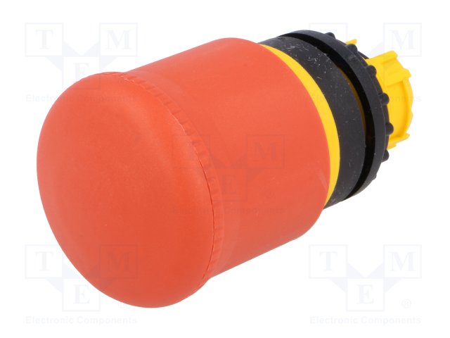 PlTi J RU/M22-PV